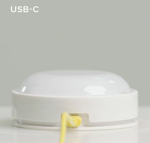 Lion First Light lamp
