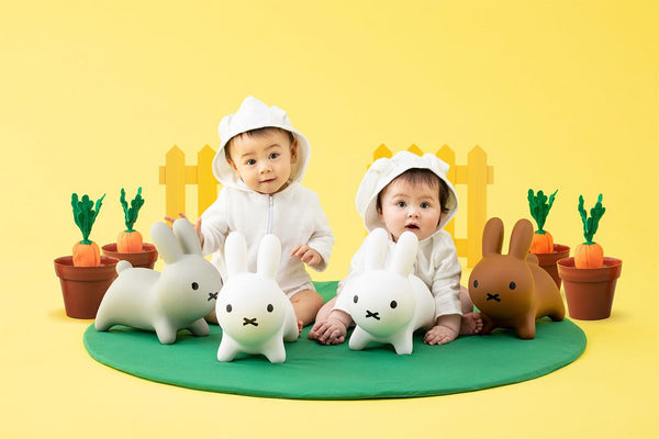 Miffy Bruna bonbon mini