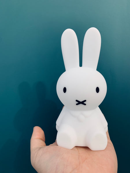 Miffy & friends - mini lights 米菲迷你美夢燈