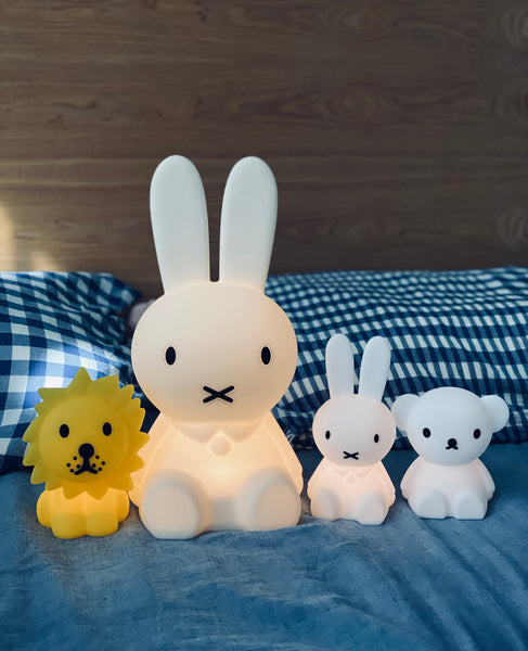 Miffy & friends - mini lights 米菲迷你美夢燈